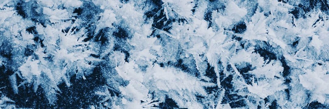 dokubara's profile banner image