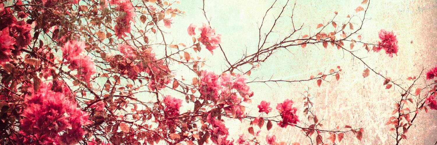san_rants's profile banner image