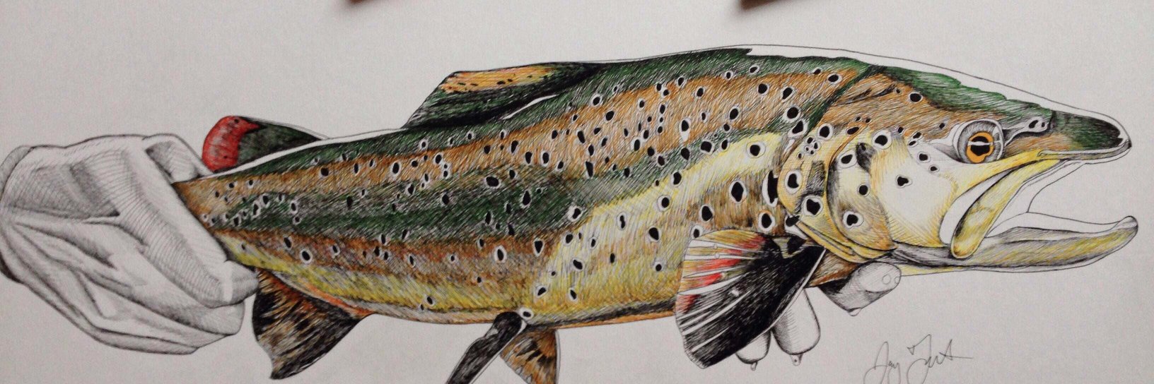 VagabondFly's profile banner image