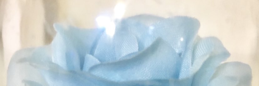 _k_rin_t_'s profile banner image