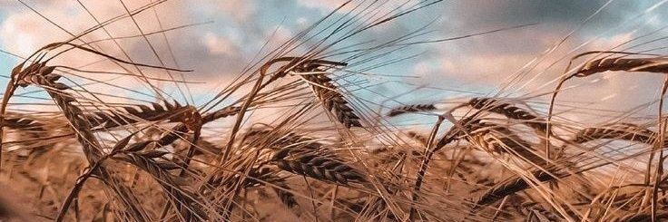 _MissUA's profile banner image