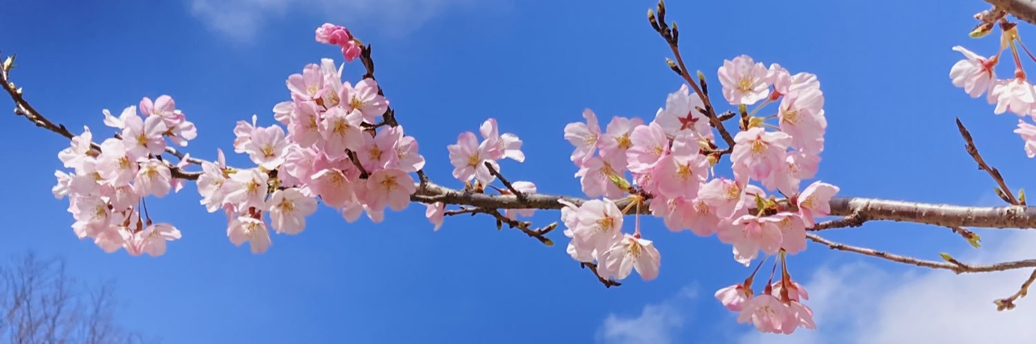 マサ カタ banner