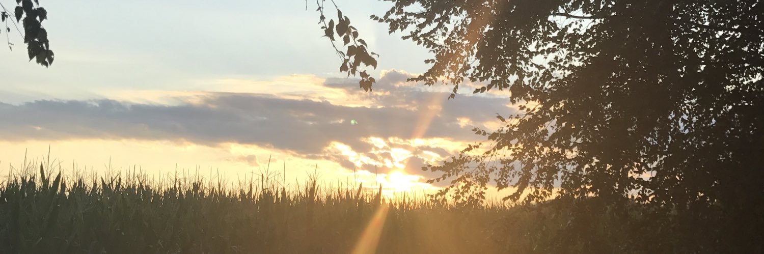 Ruf42's profile banner image
