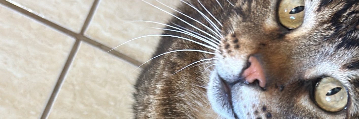 JRusinelli's profile banner image