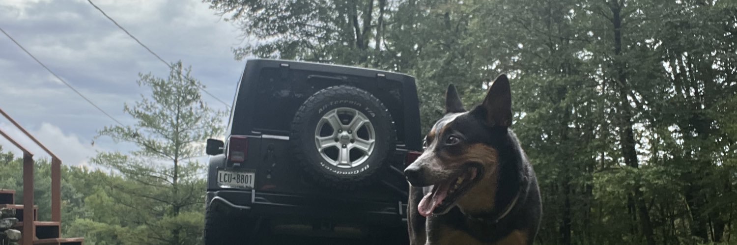 tewinkle4's profile banner image