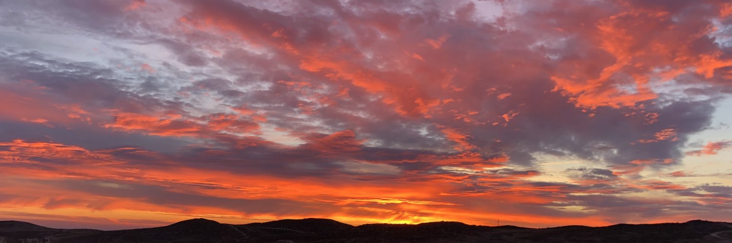 Luis Pedro Calvo banner