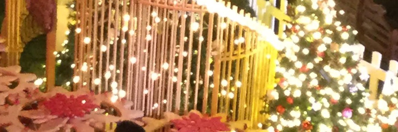 observation island🌸🎺COSTCOざんまい banner