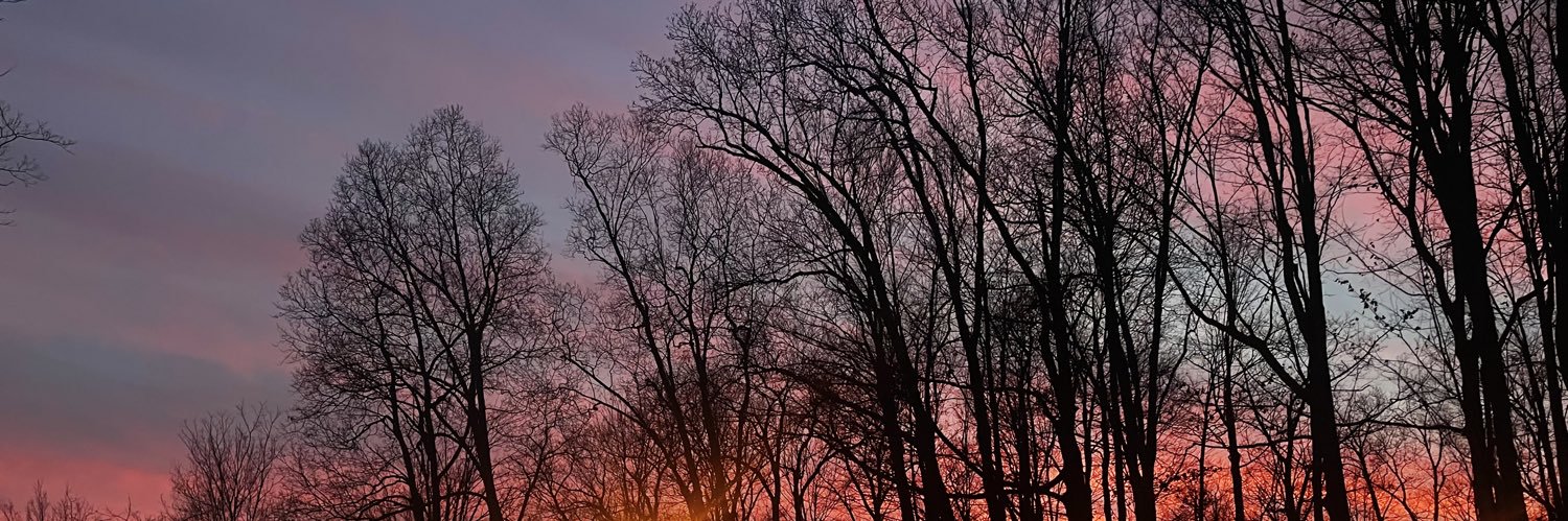 whodatis1001's profile banner image