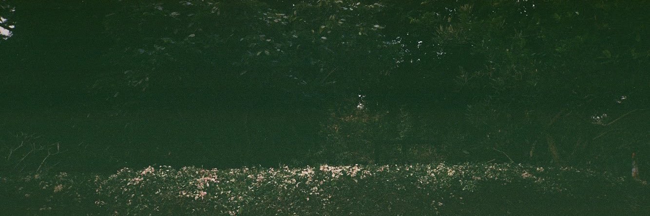 alexamka's profile banner image