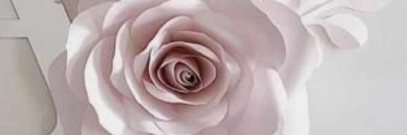 M_A25121's profile banner image