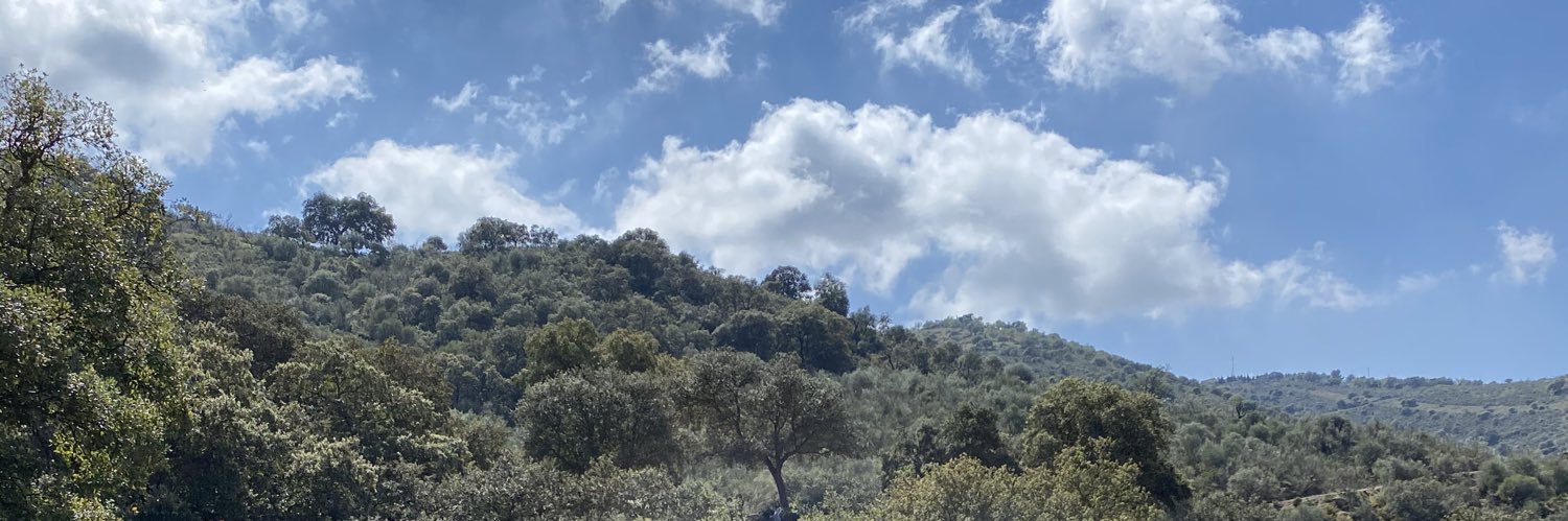 Strossao's profile banner image