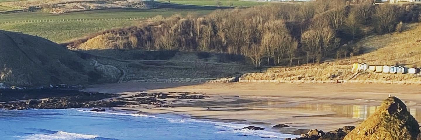 michelle meldrum banner