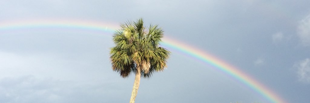 MatthewTonner's profile banner image