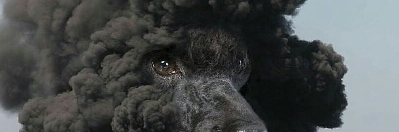 vitun322's profile banner image