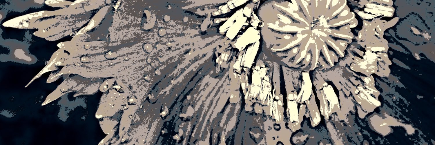 transformamummy's profile banner image