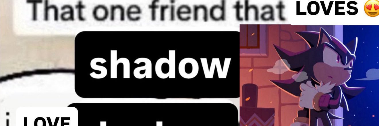 fina banner