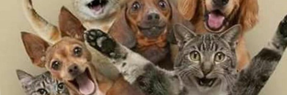 ericap_o's profile banner image