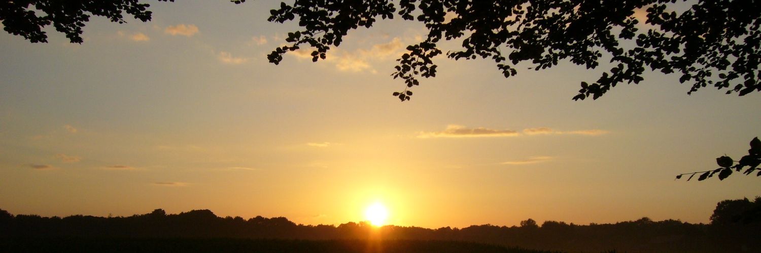 Hometweeter23's profile banner image