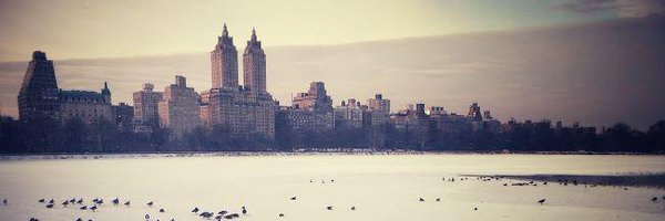 archrsiren Profile Banner