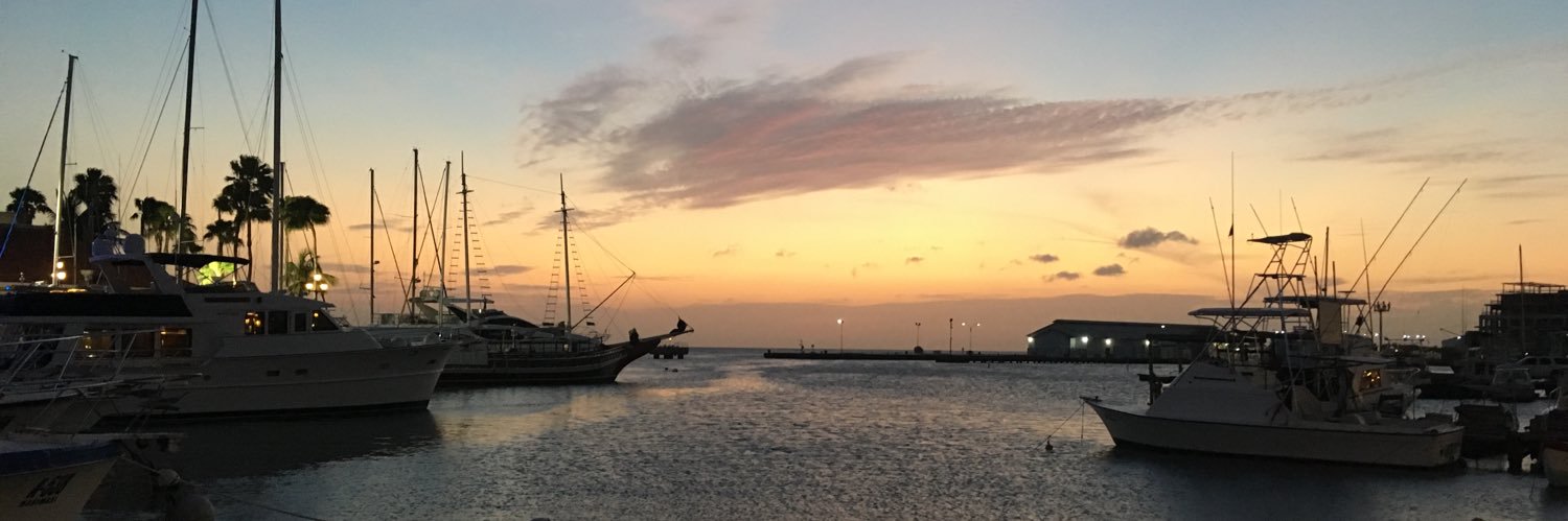 JacqvanSambeek's profile banner image