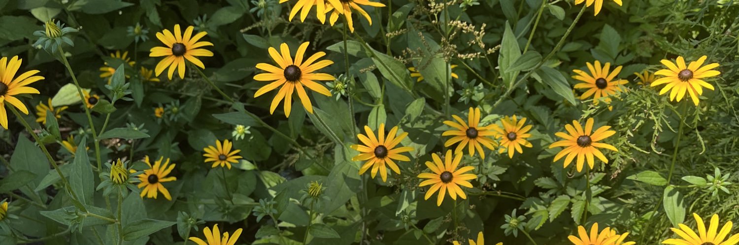 clare8941's profile banner image