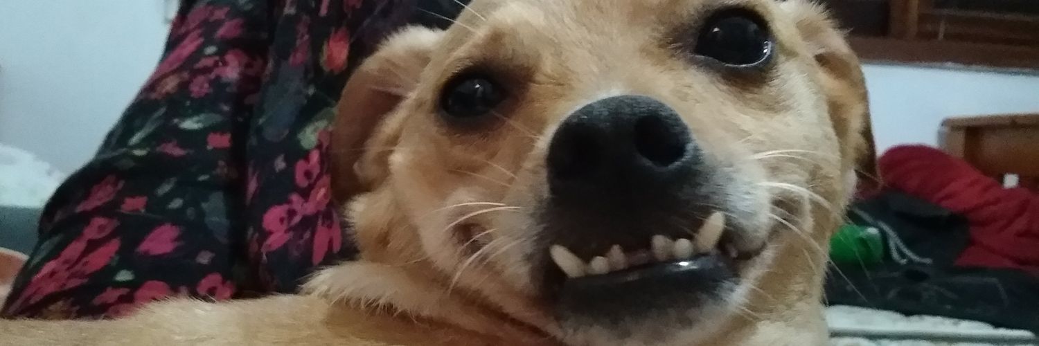 JeniSkywalker's profile banner image