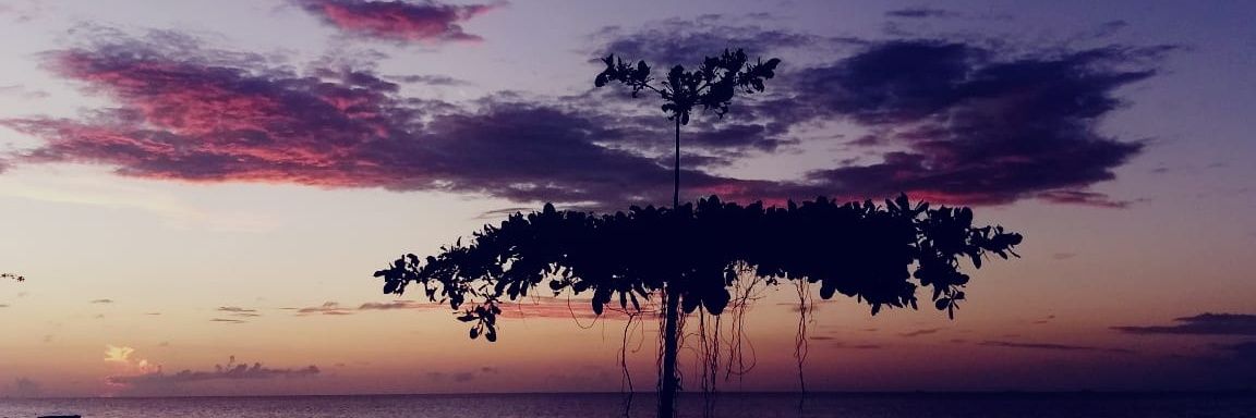 DijaPija's profile banner image