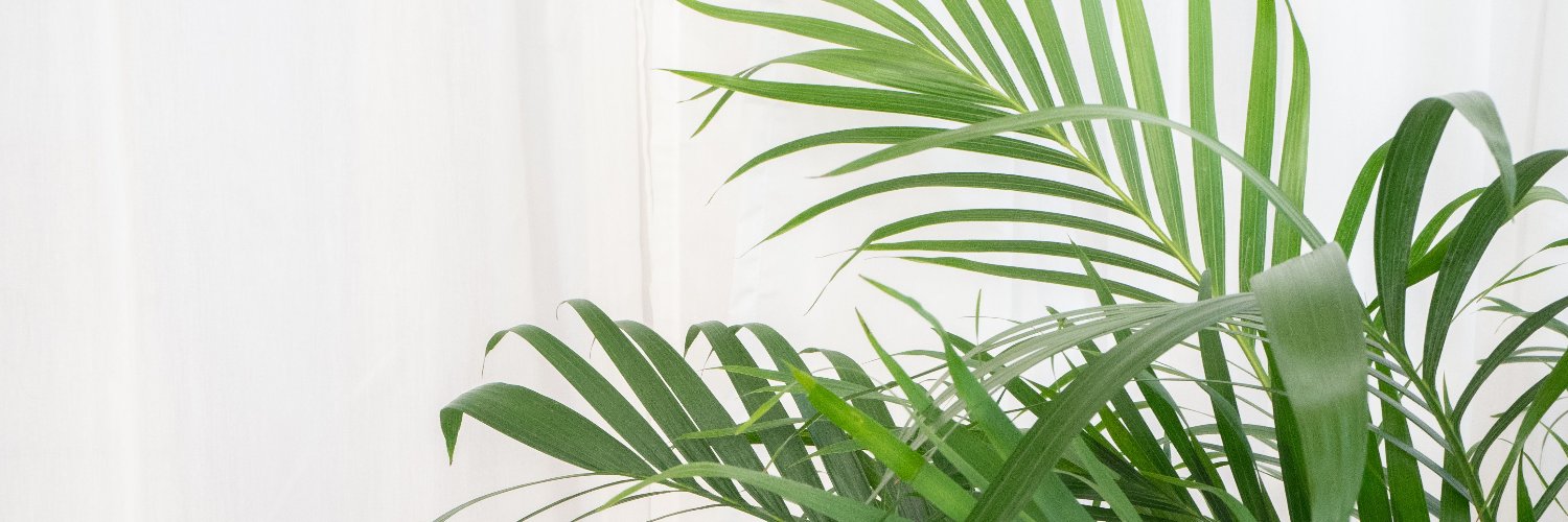 knagggs's profile banner image