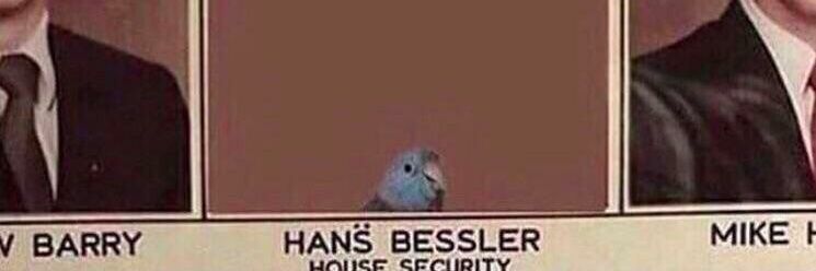 DonnerPrinz's profile banner image