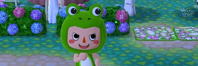 dolly9004's profile banner image