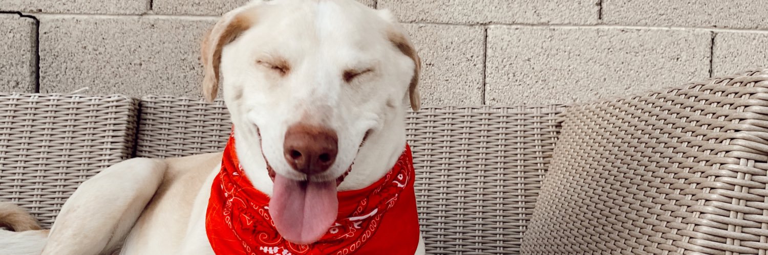 sedonaraee's profile banner image
