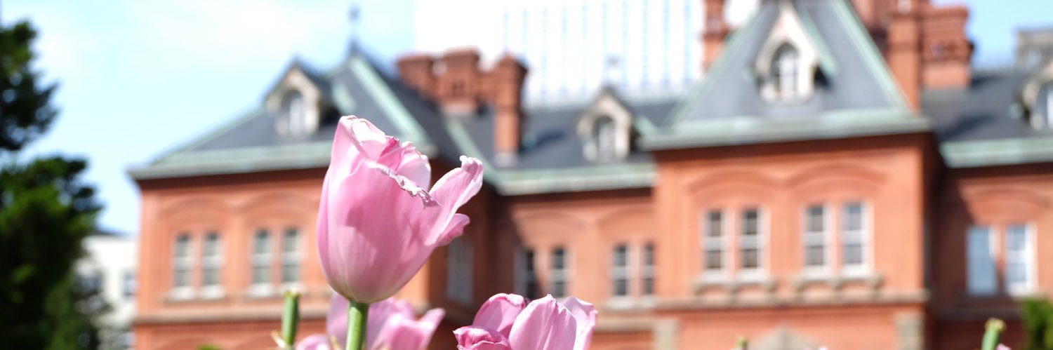 bloombaloom's profile banner image