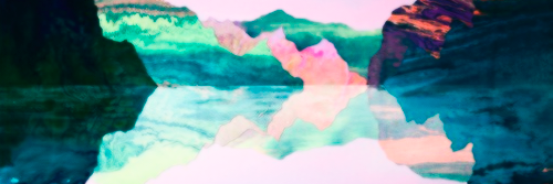 FloralShorts_'s profile banner image