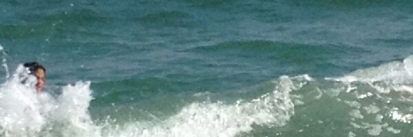 drsusancoleman Profile Banner