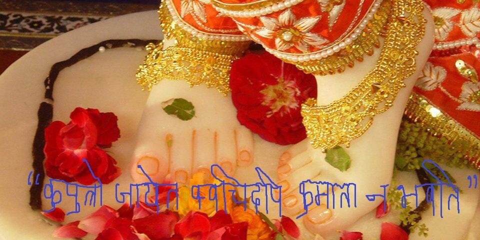 amleshsm's profile banner image