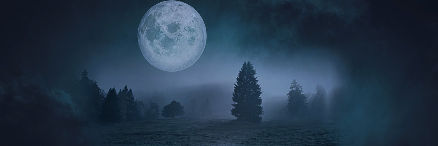 BethPerrywrites's profile banner image