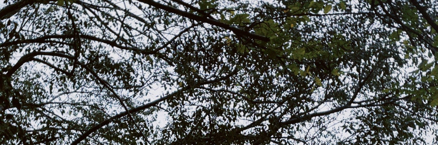 helenaains's profile banner image