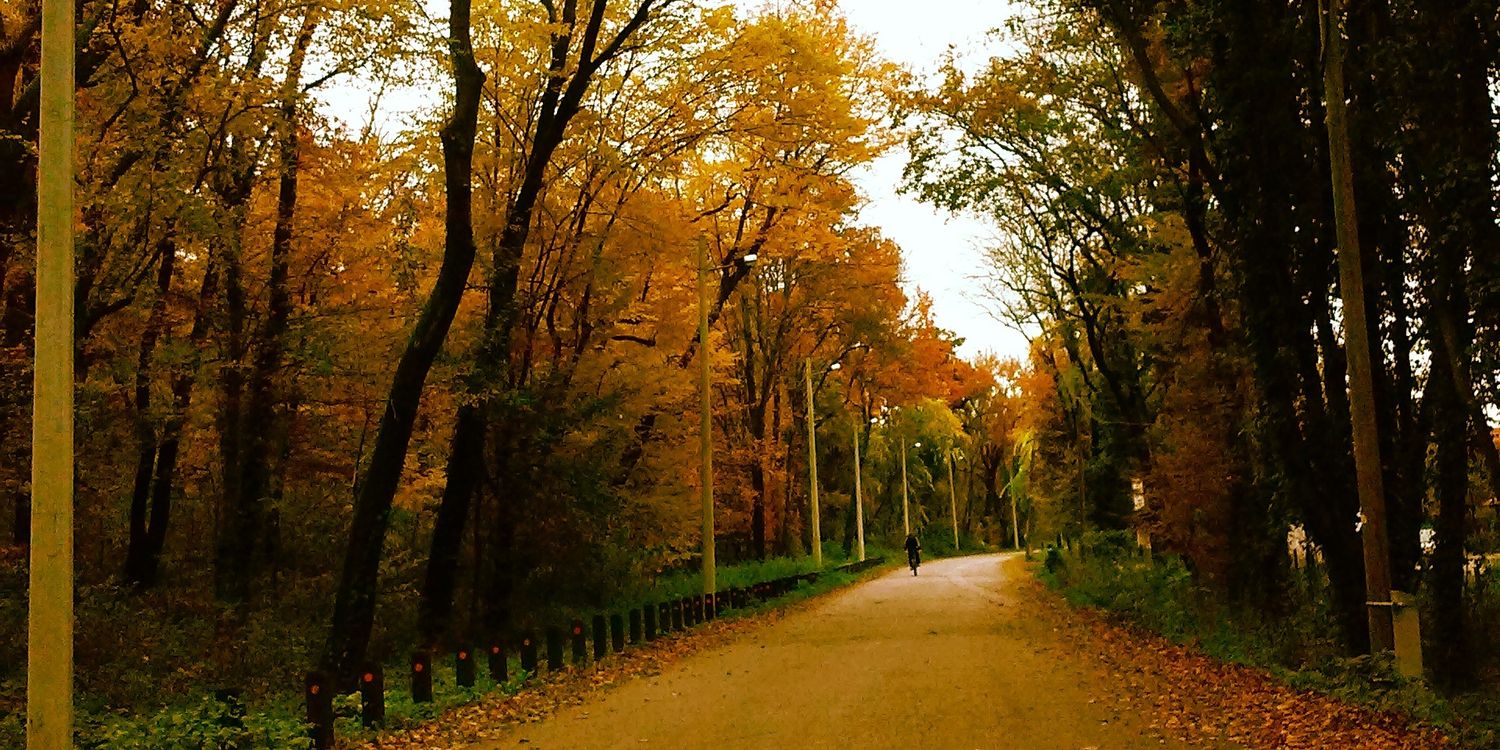 nljesic's profile banner image