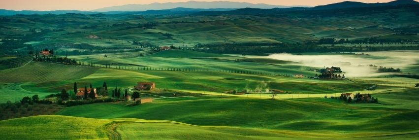 Kimberly Zoe. banner