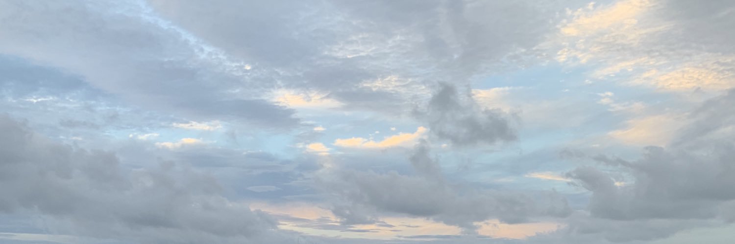 LexinePacker's profile banner image