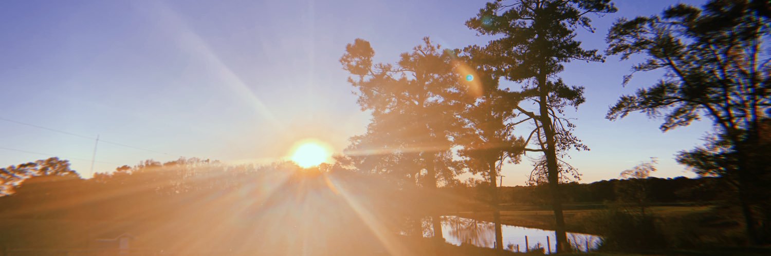 traephilice's profile banner image