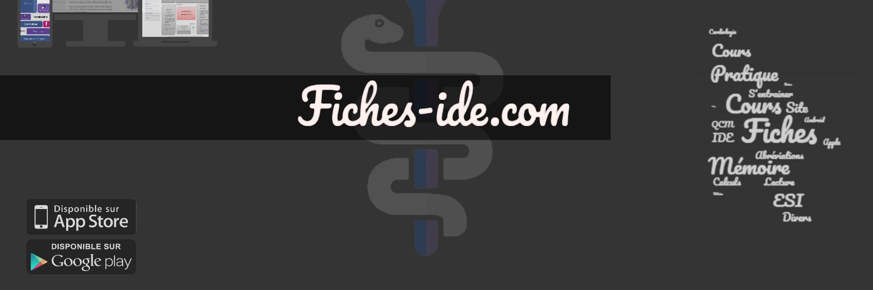 FichesIDE's profile banner image