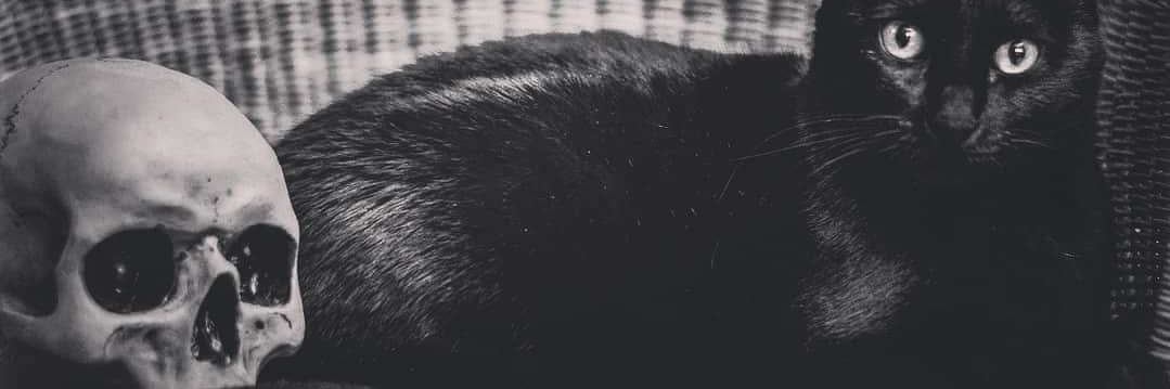 Ashley Morrison banner