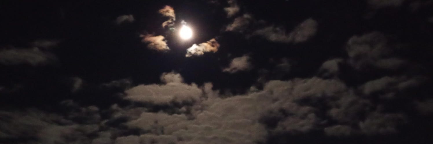 Dr. Tuiterario 🦎💚 banner