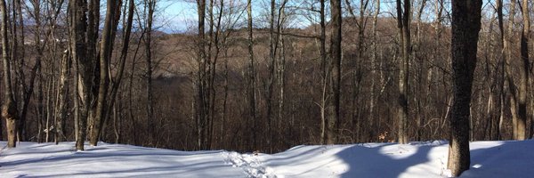 savoryknitting Profile Banner