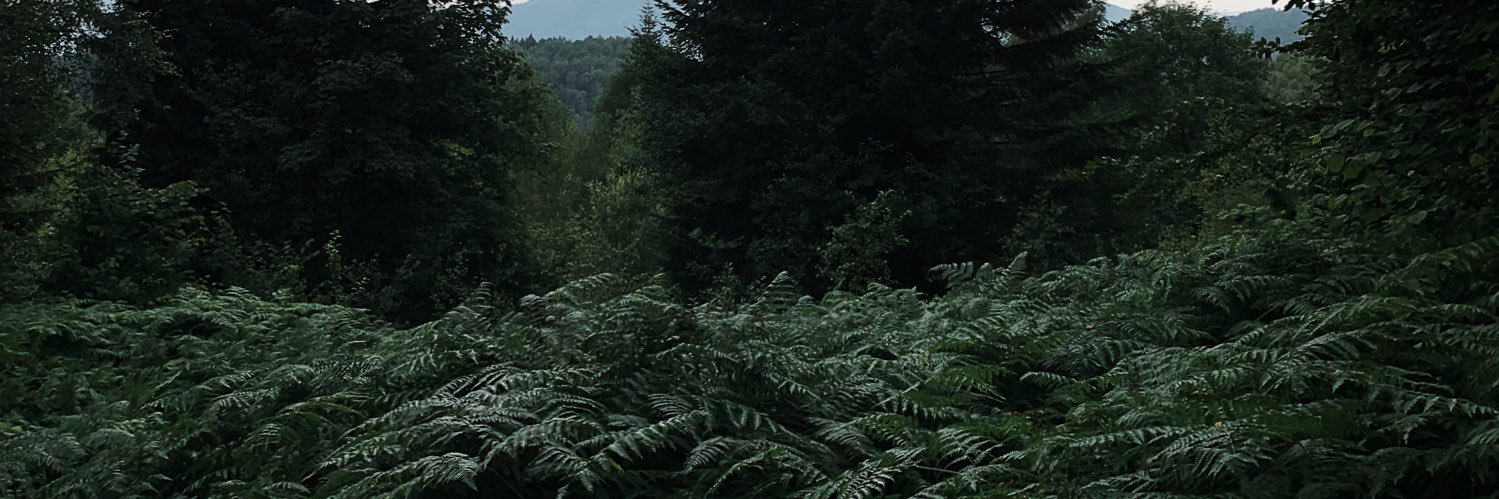 Turlun's profile banner image