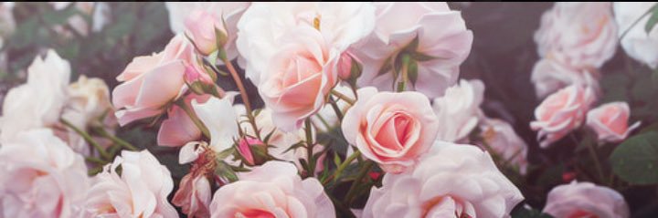 LovelyKay_16's profile banner image