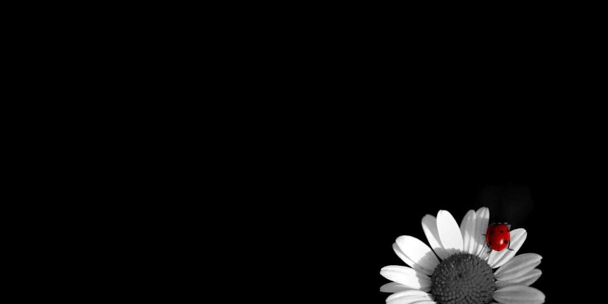 tripcanan's profile banner image
