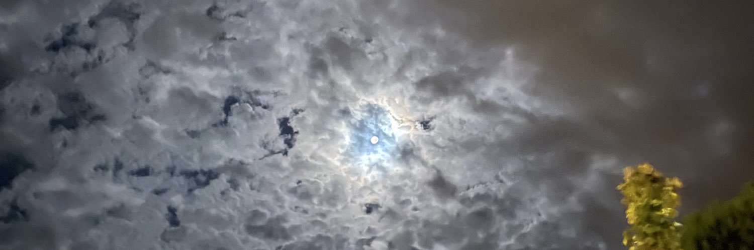 SaraNicli's profile banner image