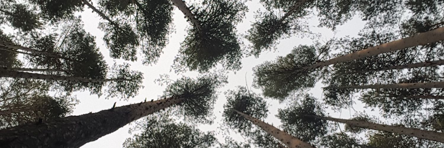 lorenamrl's profile banner image